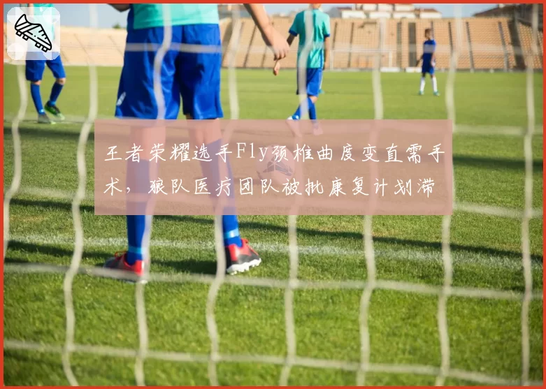王者荣耀选手Fly颈椎曲度变直需手术，狼队医疗团队被批康复计划滞后