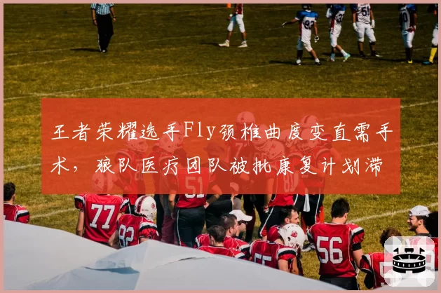 王者荣耀选手Fly颈椎曲度变直需手术，狼队医疗团队被批康复计划滞后