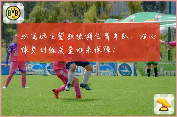 林高远主管教练调任青年队，核心球员训练质量谁来保障？