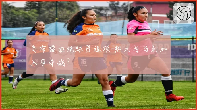 乌布雷拒绝球员选项 热火与马刺加入争夺战?